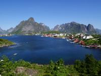 Traumlandschaft bei Reine - Lofoten